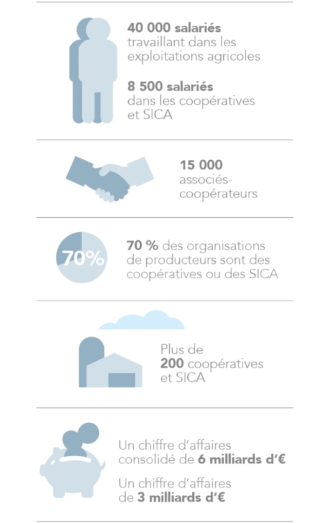 infographie chiffres clés