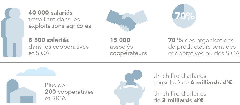 infographie chiffres clés